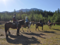 trail-rides-leave-from-discovery-center-in-west-glacier