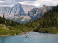 moose-in-glacier-park